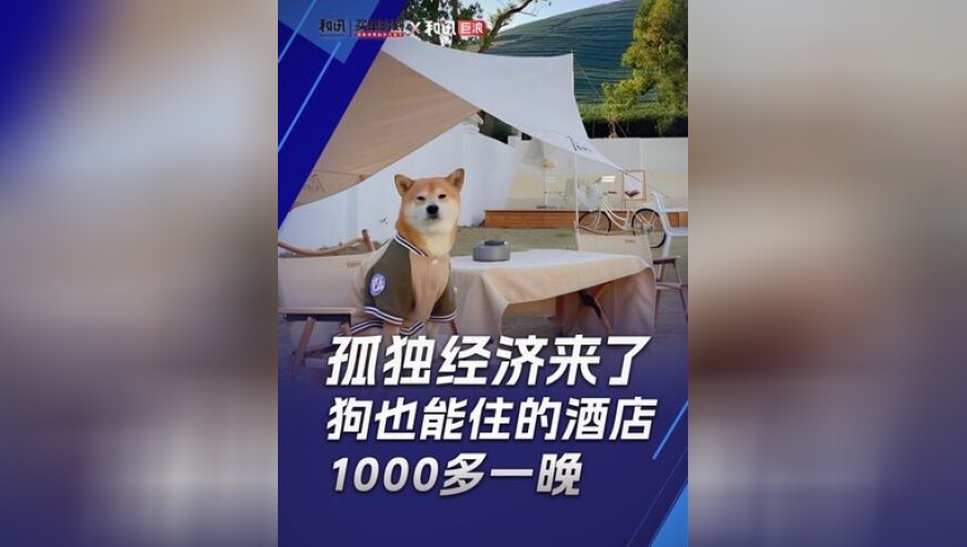 澳门大赢家一肖一码,中国队第十二金,准确资料解释落实_精英版V3.42