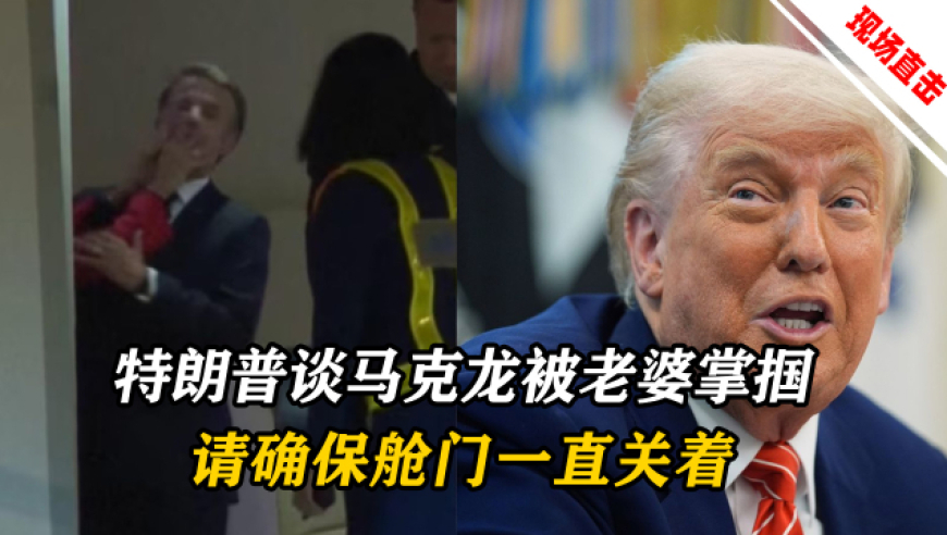 春天当然要拍油菜花,澳门最新彩资料图库大全,作答解释落实的民间信仰_社交版V7.58