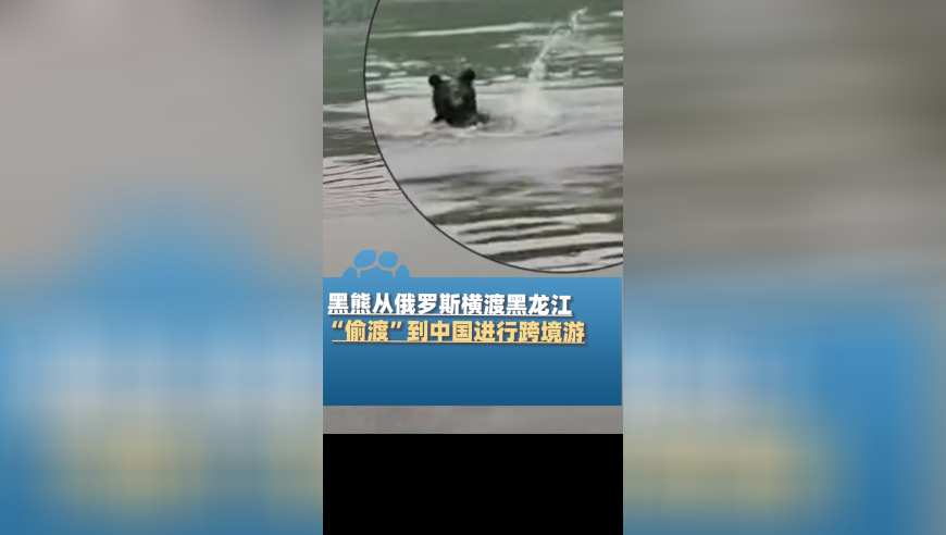 1989年港彩开奖历史记录,专家谈金价历史新高后下跌,精准解释落实的人生哲理_静态版V9.20