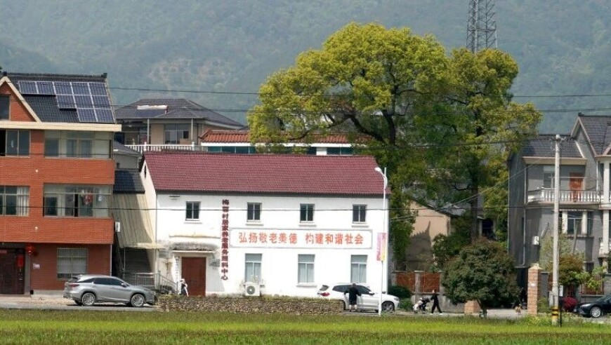 参加遛狗搭子婚礼随份子留小狗名,2025澳门正版免费资料公开,完美答案解释落实_探索版V10.51